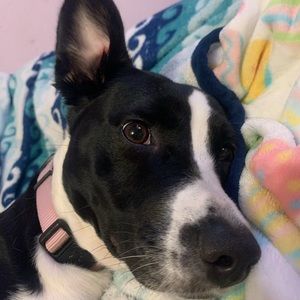 Meet your Posher, Patrick